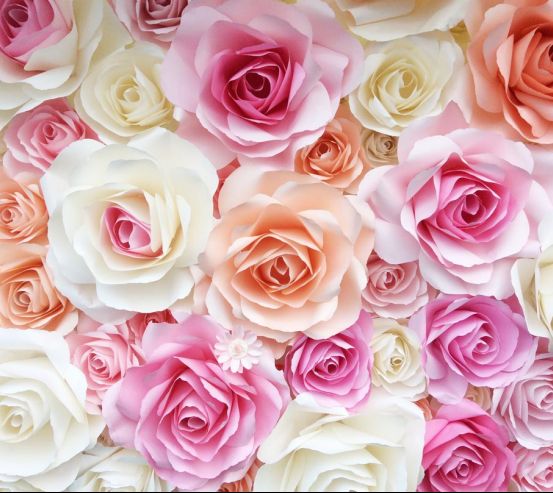 Фотообои розы нежных цветов 21057