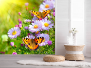 Фотообои Бабочки в цветах - 2