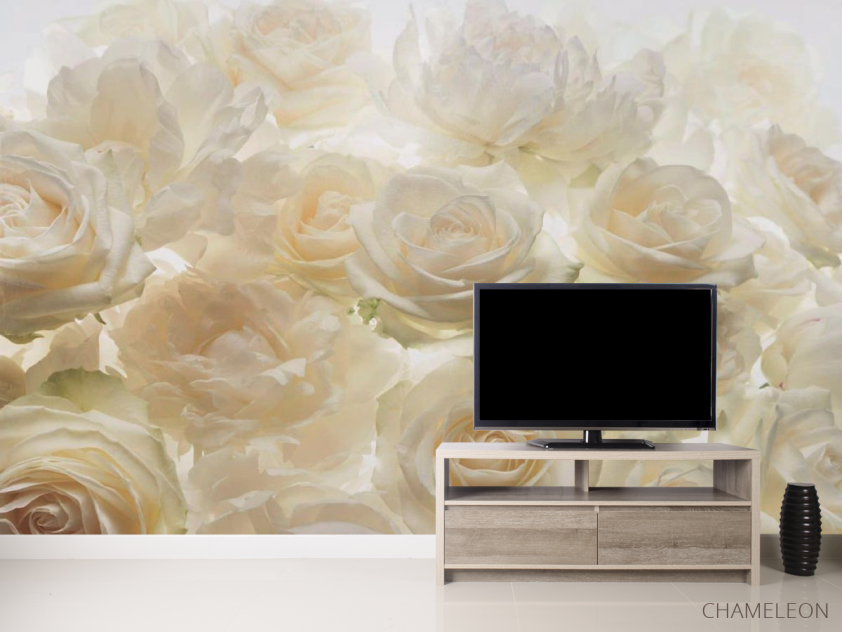 Фотообои Розы - 2