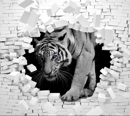 Фотообои  Тигр из каменной стены 22313