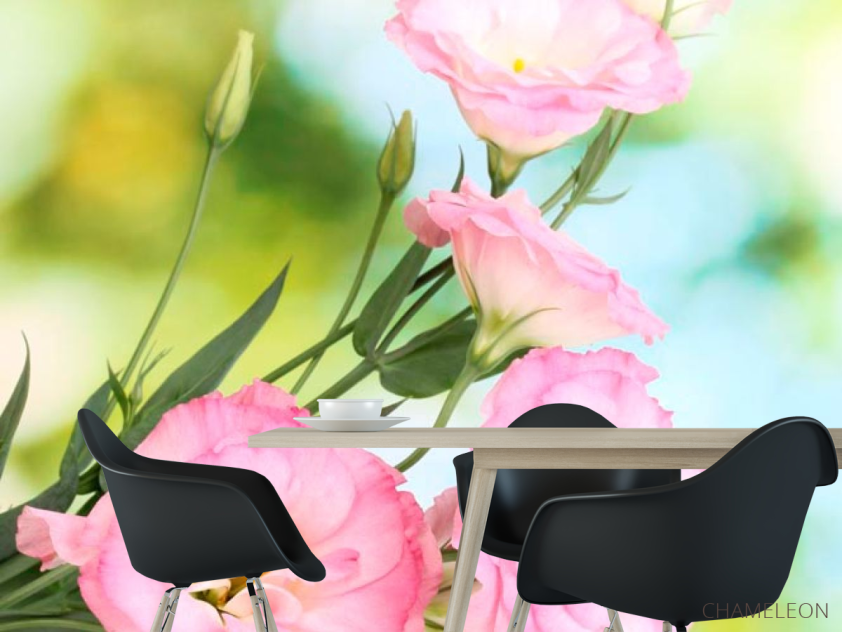 Фотошпалери Петунії блідо-рожеві - 1