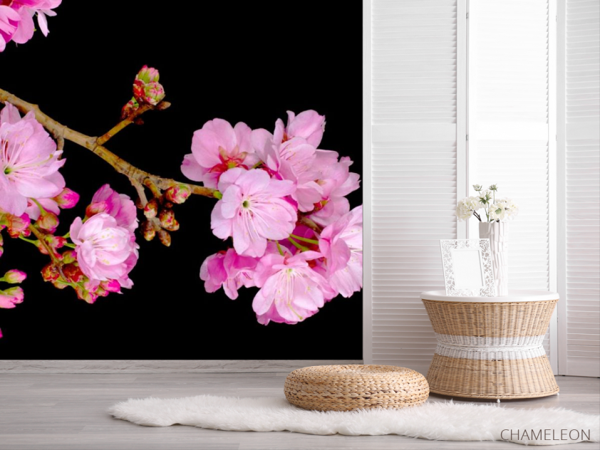 Фотошпалери Суцвіття персика - 2