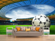 Фотообои Мяч на футбольном поле - 1