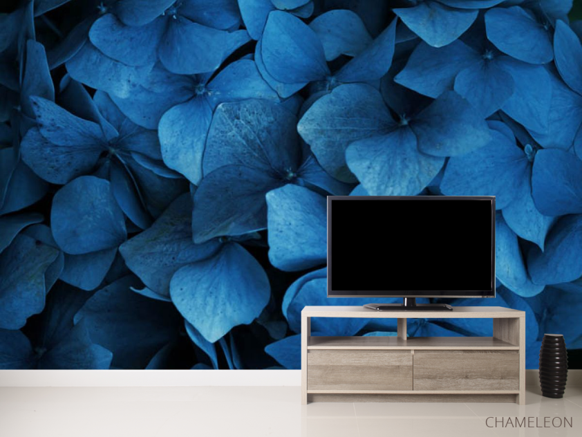 Фотообои гортензия - 2