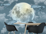 Фотошпалери літаки і місяць - 1