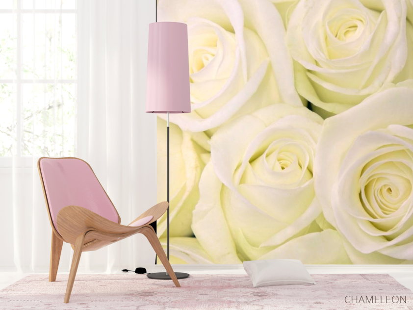 Фотошпалери Троянди білосніжного відтінку - 4