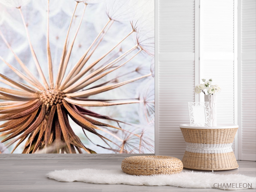 Фотошпалери Одуванчик - 2