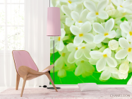 Фотошпалери Маленькі біленькі квіточки - 4