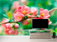 Фотообои Имбирь коралловый - 2