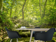 Фотошпалери дерев'яні сходи у лісі - 1