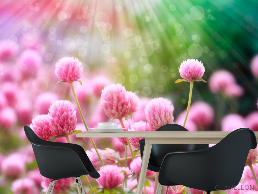 Фотошпалери Рожевий конюшина - 1