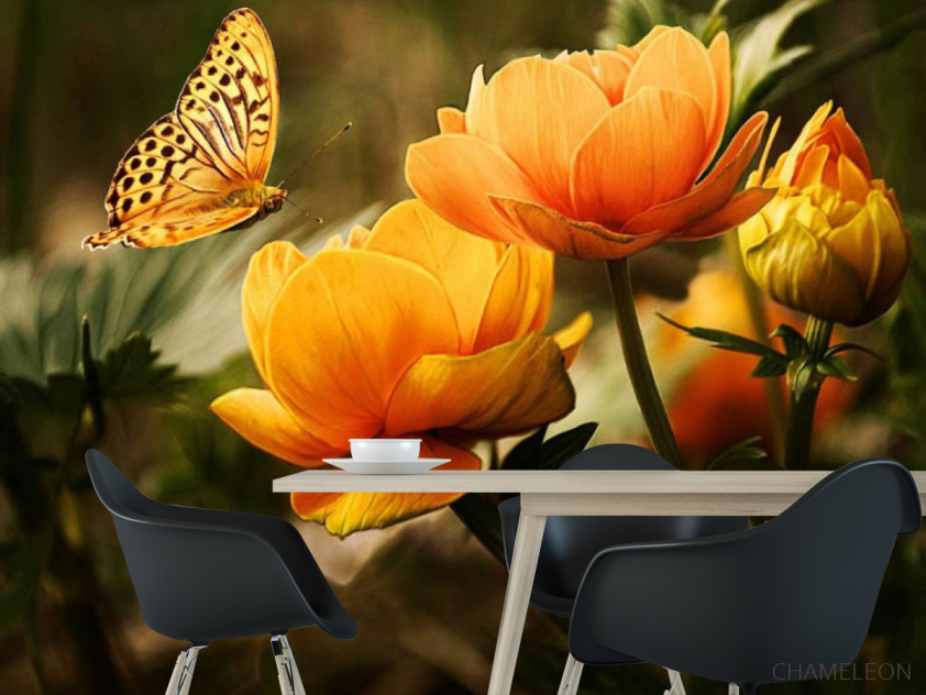 Фотошпалери метелик на квітах - 1