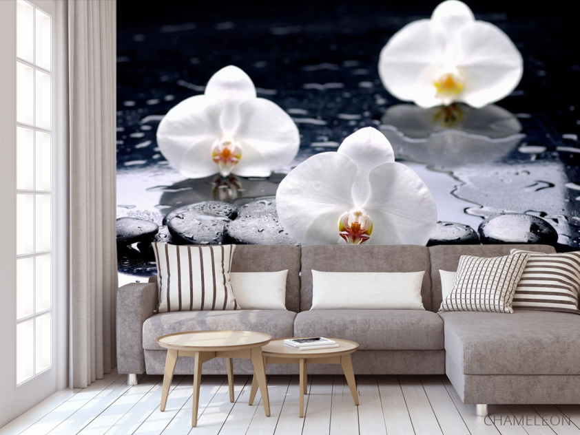 Фотообои Орхидеи на черных камнях - 3