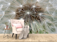 Фотообои семена на одуванчике - 4