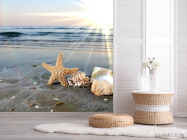 Фотошпалери Мушлі на березі - 2