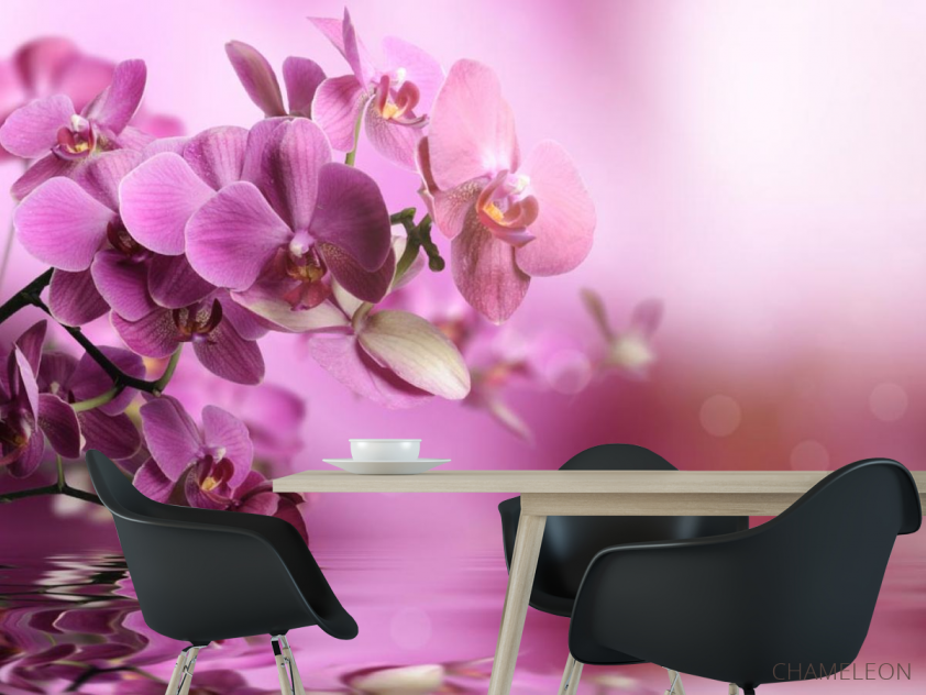 Фотошпалери рожеві орхідеї над водою - 1