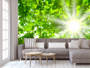 Фотообои Дубовый лист - 3