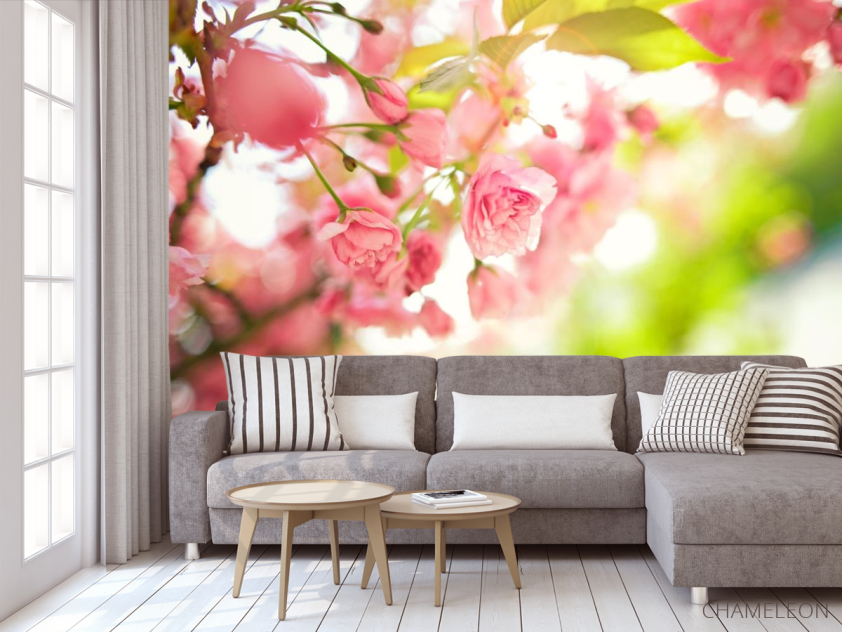 Фотообои розовые цветки - 3