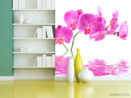 Фотообои В воде орхидеи - 3