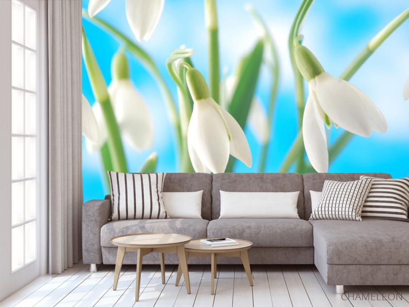 Фотообои подснежники - 3