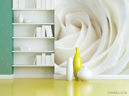 Фотошпалери Біла троянда - 3