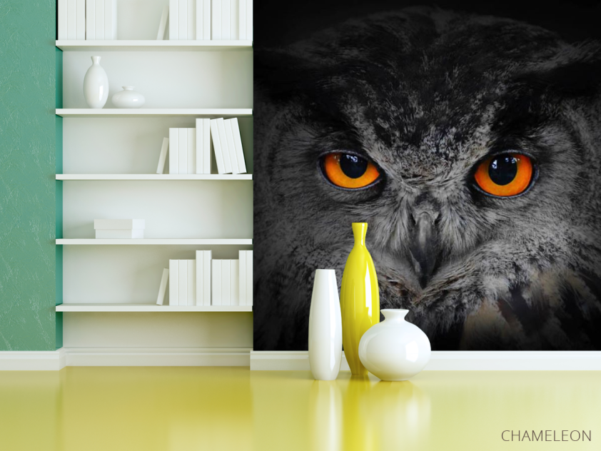 Фотошпалери сова - 3