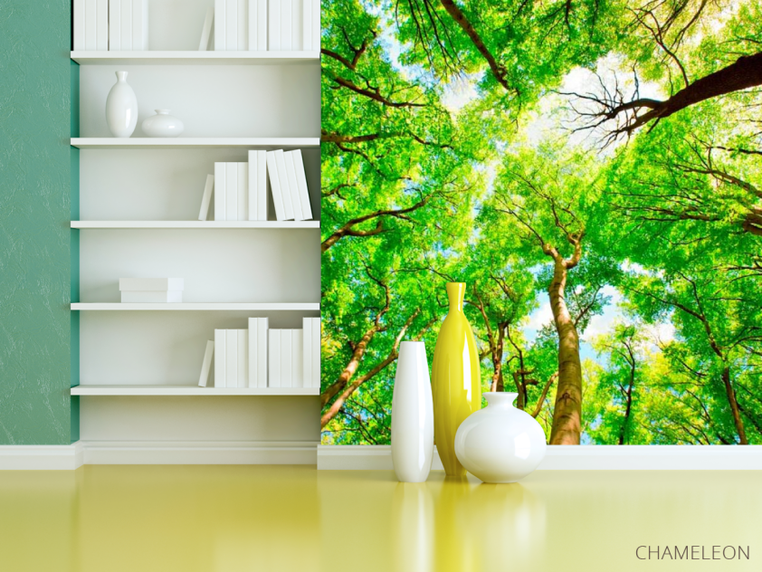 Фотошпалери Тонкі дерева - 3