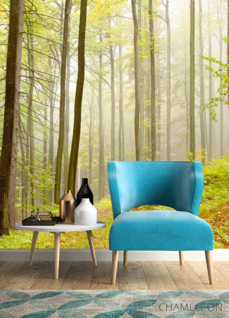 Фотообои Кусочек леса - 4