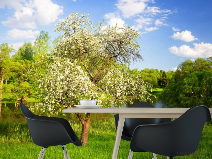 Фотошпалери природа - 1