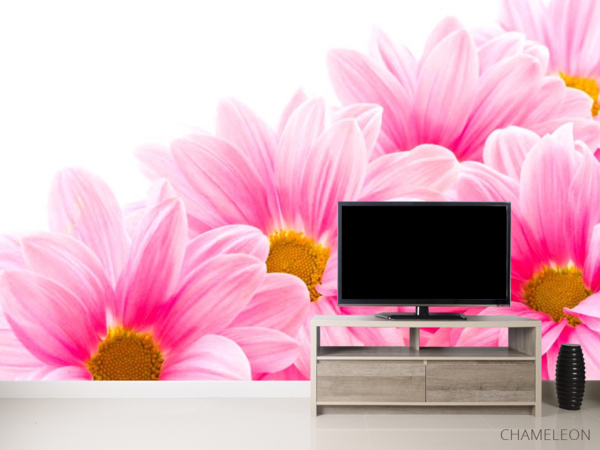 Фотообои Ромашки розовые - 2