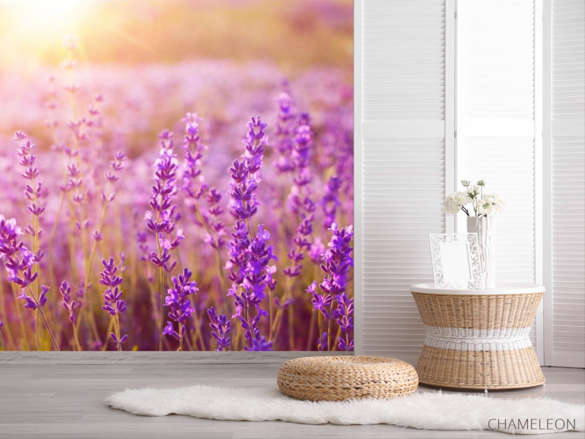 Фотошпалери поле квіточок - 2