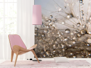 Фотошпалери Роса - 4