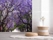 Фотошпалери алея з синіми деревами - 2