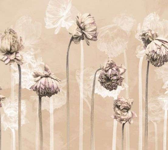 Фотошпалери мінімалістичні квіти Фотошпалери мінімалістичні квіти 30015