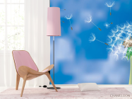 Фотошпалери Кульбаба на синьому тлі - 4