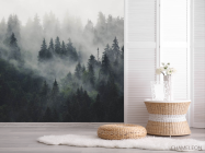 Фотошпалери Туманний ліс - 2