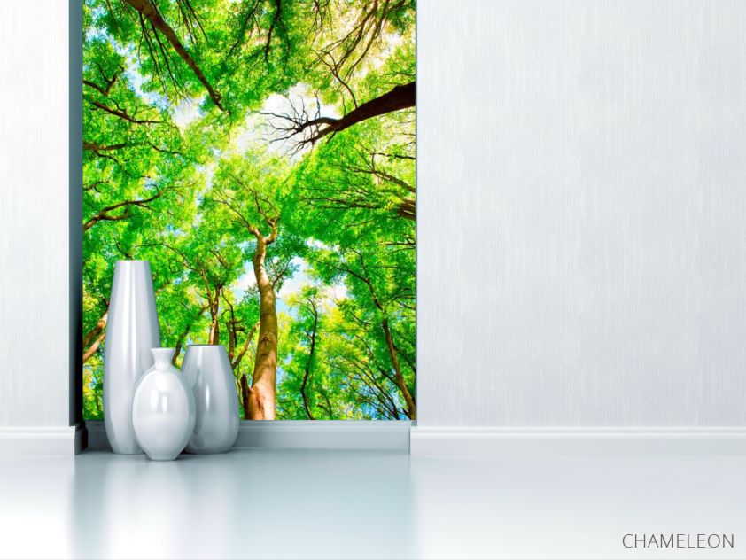 Фотообои Тонкие деревья - 1