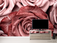 Фотообои Розы винного цвета - 2