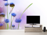 Фотообои Степные голубые цветы - 2