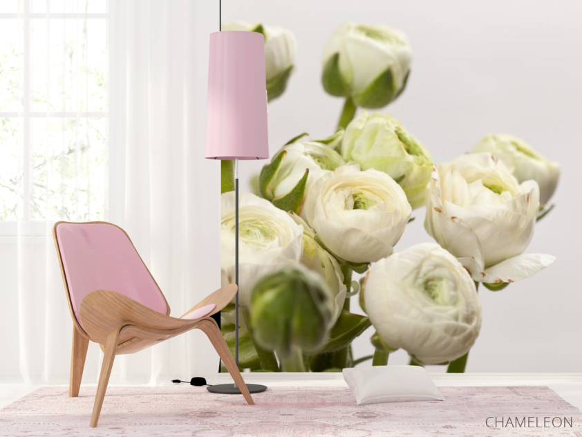 Фотошпалери білі круглі квіти - 4