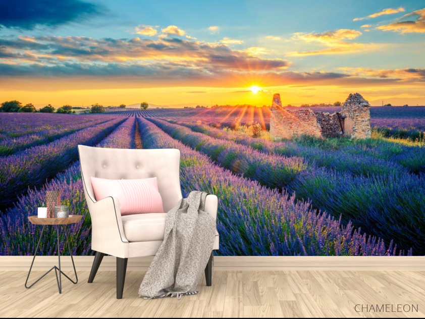 Фотообои разрушеный домик в лавандовом поле - 4