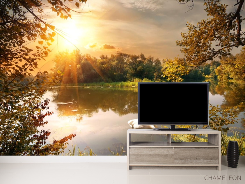 Фотообои лебедь на озере - 2