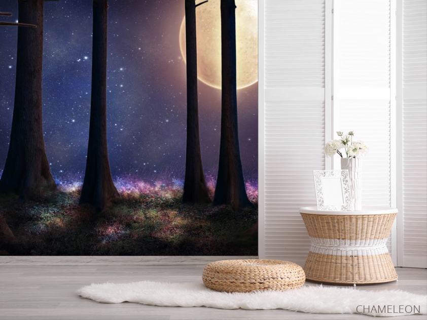 Фотошпалери місяць в лісі - 2