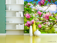 Фотошпалери магнолії рожеві на деревах - 3