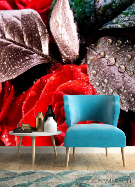 Фотообои Алая распустившаяся роза - 4