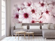 Фотообои цвет вишни - 3