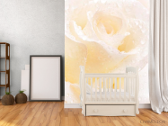 Фотообои Распустившаяся роза белоснежная - 2