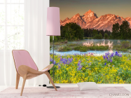 Фотошпалери Природа, гори, квіти - 4