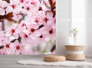 Фотошпалери Квітуче деревце навесні - 2