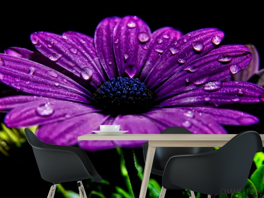 Фотошпалери Фіолетовий квітка - 1